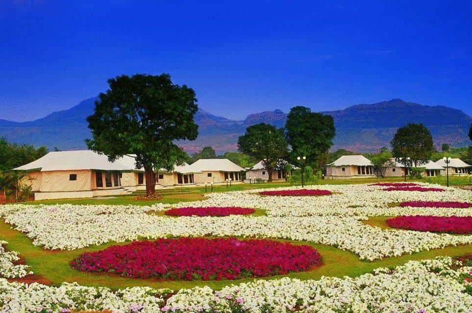 Aamby Valley City Lonavala Ngoại thất bức ảnh Flower garden in the resort