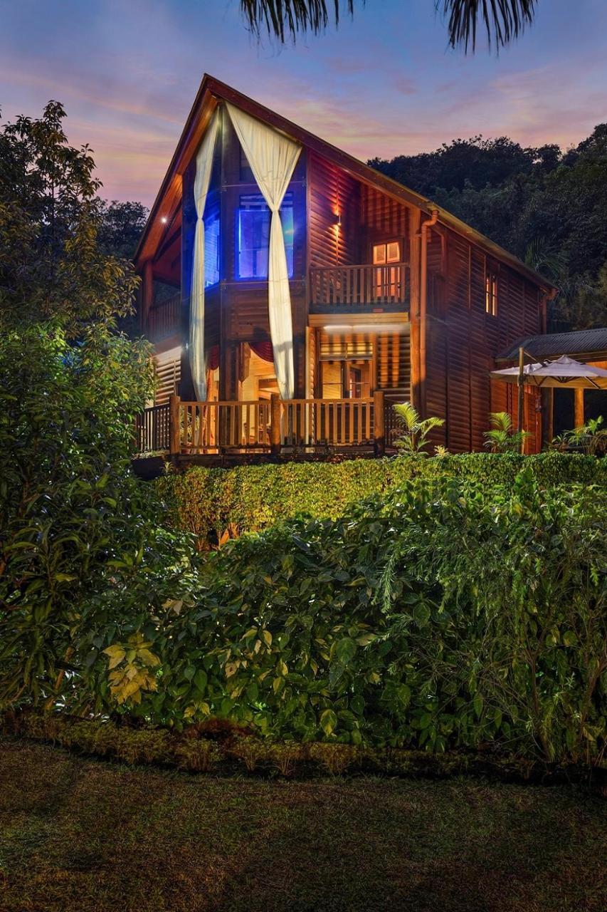 Aamby Valley City Lonavala Ngoại thất bức ảnh The Treehouse at night